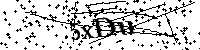 Veuillez saisir les lettres ci-dessous